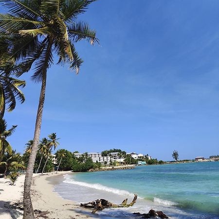 Studio West-Indies Residence Savane Et Archipel ル・ゴジエ エクステリア 写真