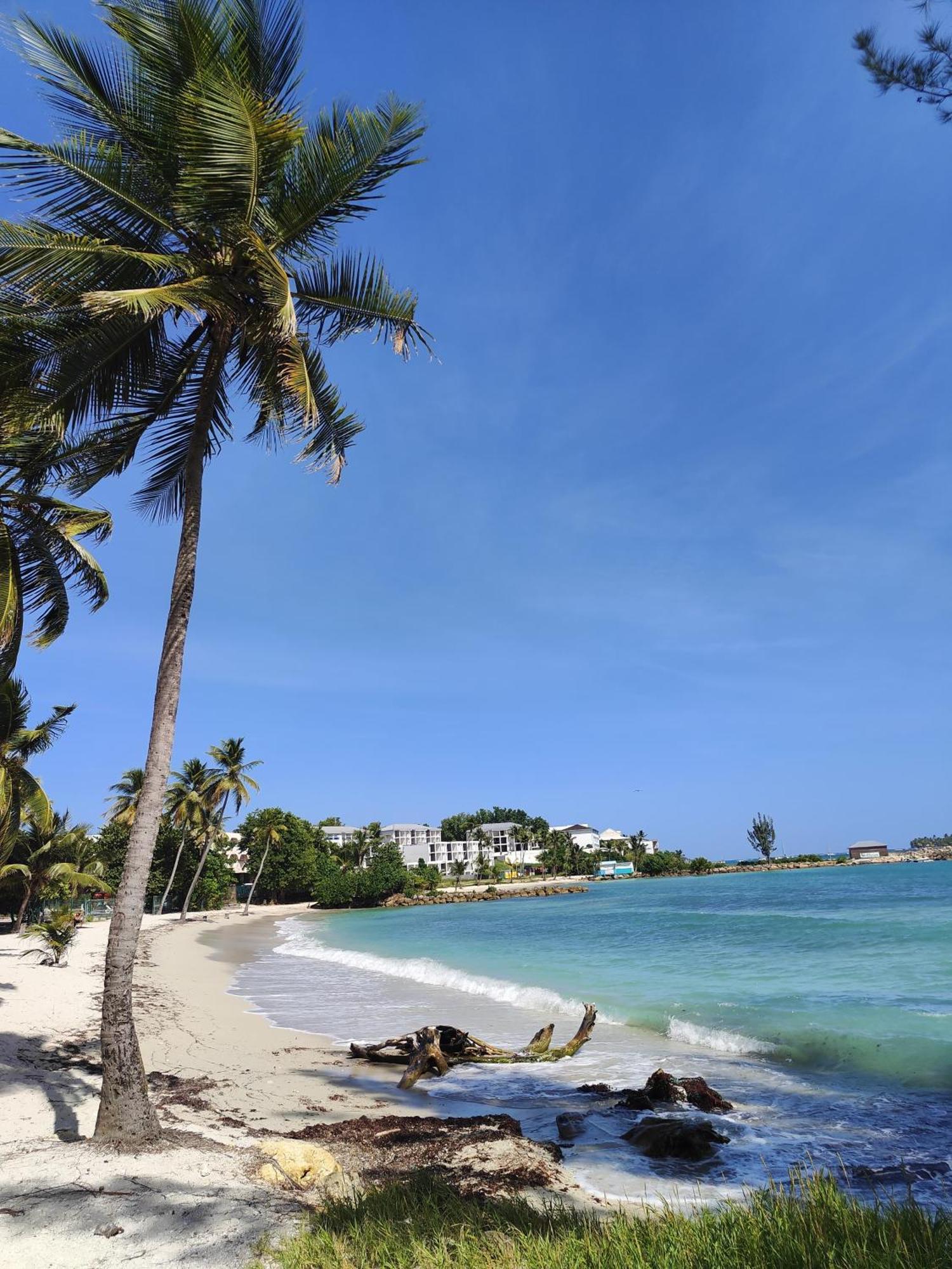 Studio West-Indies Residence Savane Et Archipel ル・ゴジエ エクステリア 写真