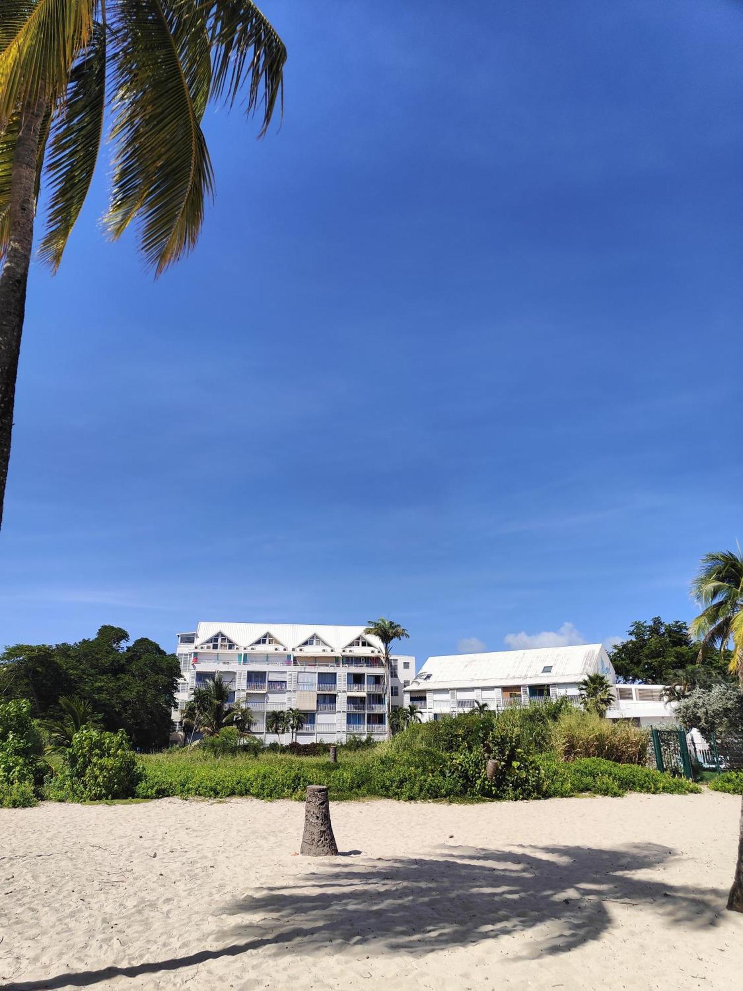 Studio West-Indies Residence Savane Et Archipel ル・ゴジエ エクステリア 写真